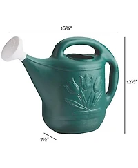 Novelty Classic Plastic Watering Can, Green, 2 Gallon Capacity