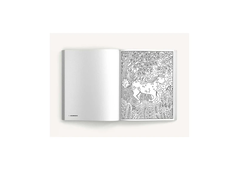 Color Me Farts- A Hilarious Adult Coloring Book by Cider Mill Press