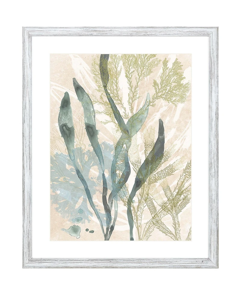 Vintage-Like Ocean Jewels Ii Framed Art