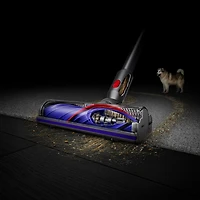 Dyson V8 Absolute Cordless Vacuum