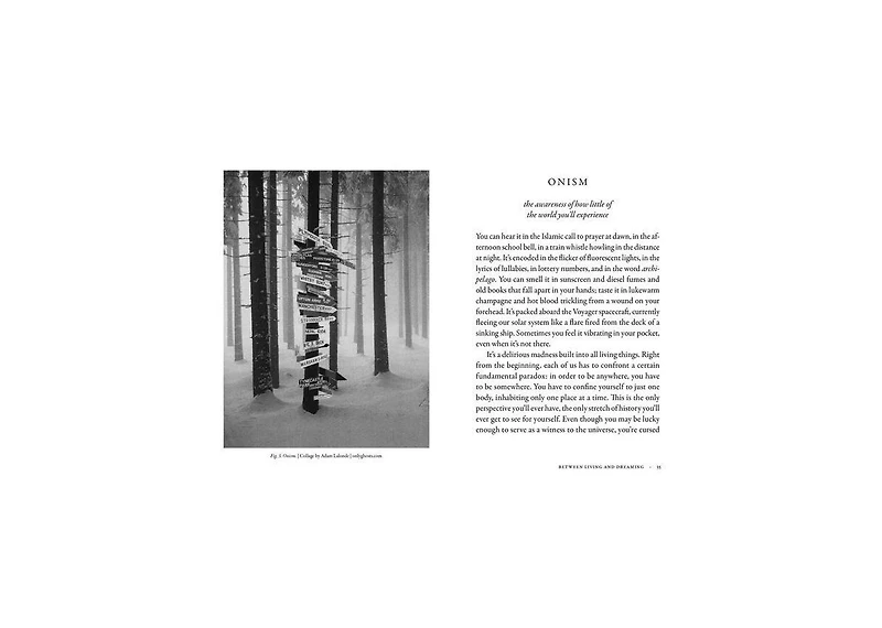 The Dictionary of Obscure Sorrows by John Koenig