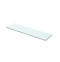 Shelves 2 pcs Panel Glass Clear 23.6"x4.7"