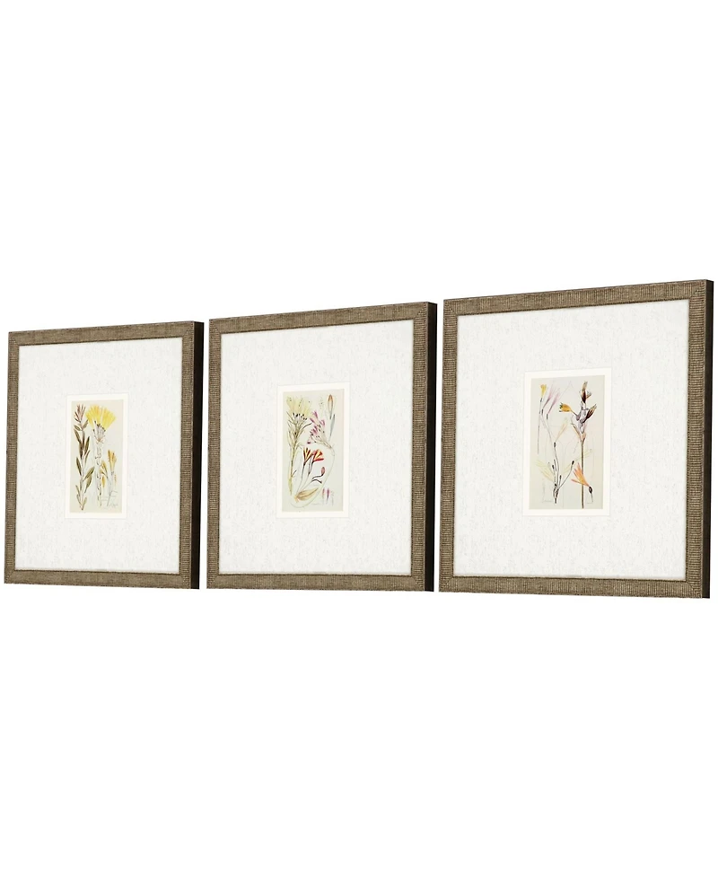 Antique-Like Botanical Ii Framed Art, Set of 3