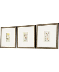 Antique-Like Botanical Ii Framed Art, Set of 3