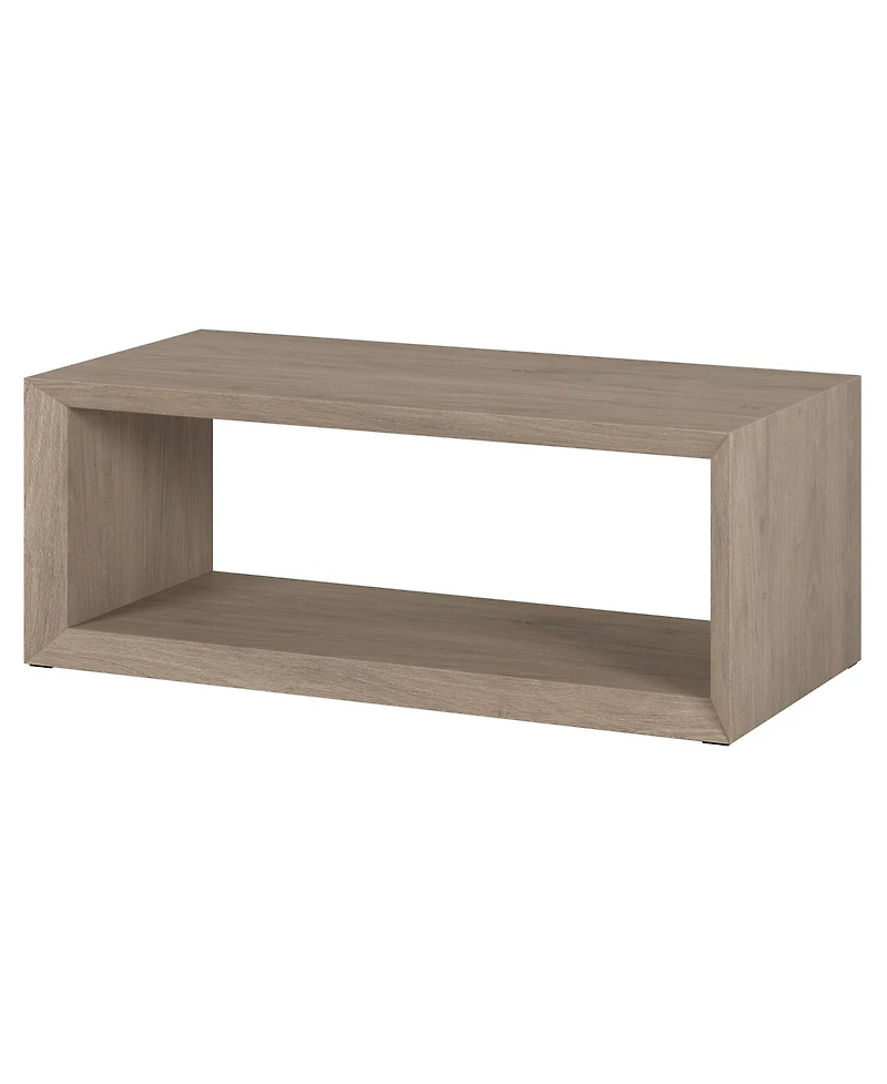 Hudson & Canal Osmond 48" Wide Rectangular Coffee Table