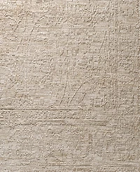 Livabliss Masterpiece High-Low Mpc-2314 2'8" x 3'11" Area Rug