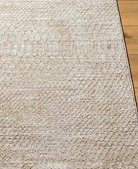 Livabliss Masterpiece High-Low Mpc-2302 2'8" x 3'11" Area Rug
