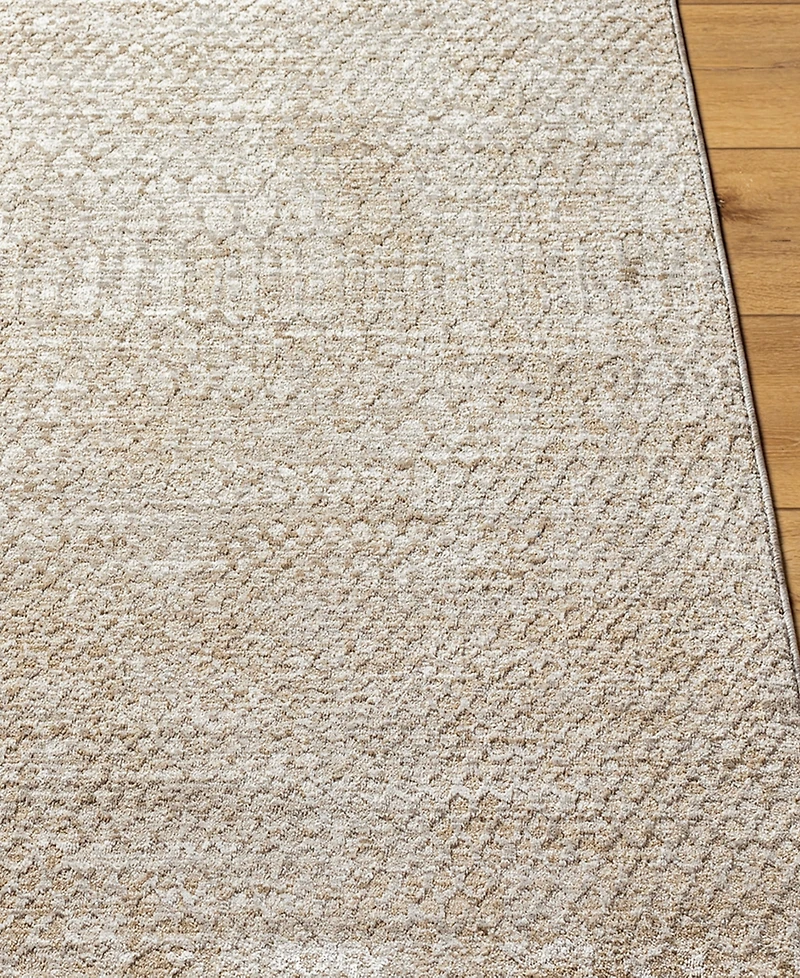 Livabliss Masterpiece High-Low Mpc-2302 5' x 7'5" Area Rug