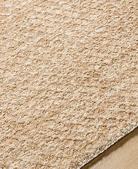 Livabliss Masterpiece High-Low Mpc-2302 6'7" x 9'6" Area Rug