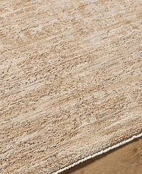 Livabliss Masterpiece High-Low Mpc-2300 2'8" x 3'11" Area Rug