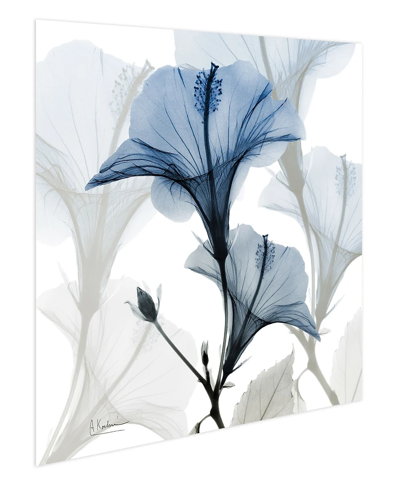Empire Art Direct "Blue X-Ray Floral" Frameless Free Floating Tempered Glass Panel Graphic Wall Art, 24" x 24" x 0.2"