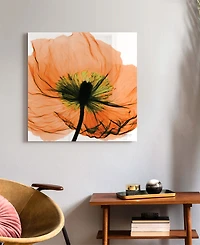 Empire Art Direct "Poppy Orange" Frameless Free Floating Tempered Glass Panel Graphic Wall Art, 24" x 24" x 0.2"