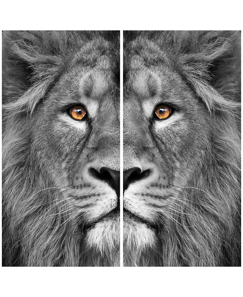 Empire Art Direct King Of The Jungle Ab Frameless Free Floating Tempered Glass Panel Graphic Wall Art, 72" x 36" x 0.2" Each