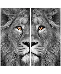 Empire Art Direct King Of The Jungle Ab Frameless Free Floating Tempered Glass Panel Graphic Wall Art, 72" x 36" x 0.2" Each
