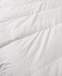 Royal Elite Down Alternative 300 Thread Count Cotton Shell All Season Comforter