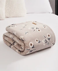 Lucky Brand Daisy Floral Cozy Plush Throw, 50" x 70"