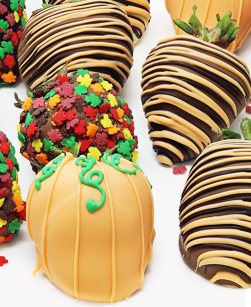 Chocolate Covered Company Fall Belgian Chocolate Covered Strawberries and Mini Cheesecake Pops, 12 Pieces