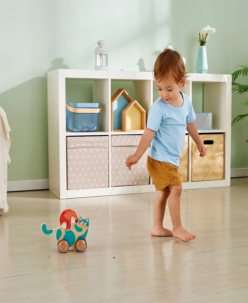 Hape Walk-a-Long- Roll Rattle Kitten Toddler Toy