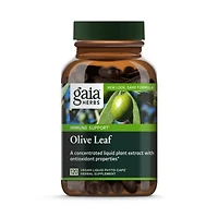 Gaia Herbs Olive Leaf - Traditional Immune Health Support - Immune System Supplement with Olive Leaf Extract and Oleuropein