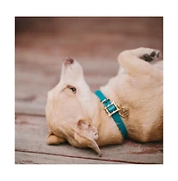 Disney Pet Collar, Faux Leather Dog Collar, Lady and the Tramp