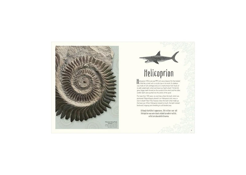 Dinosaurs and Other Prehistoric Life by Anusuya Chinsamy-Turan