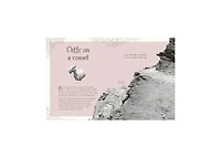 The Mysteries of the Universe- Discover the Best-Kept Secrets of Space by Will Gater