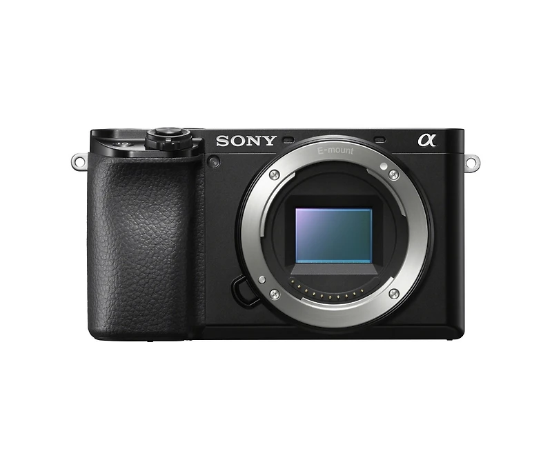 Sony Alpha a6100 Mirrorless Camera