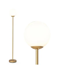 Glass Globe Led Floor Lamp w/ Acrylic Lampshade