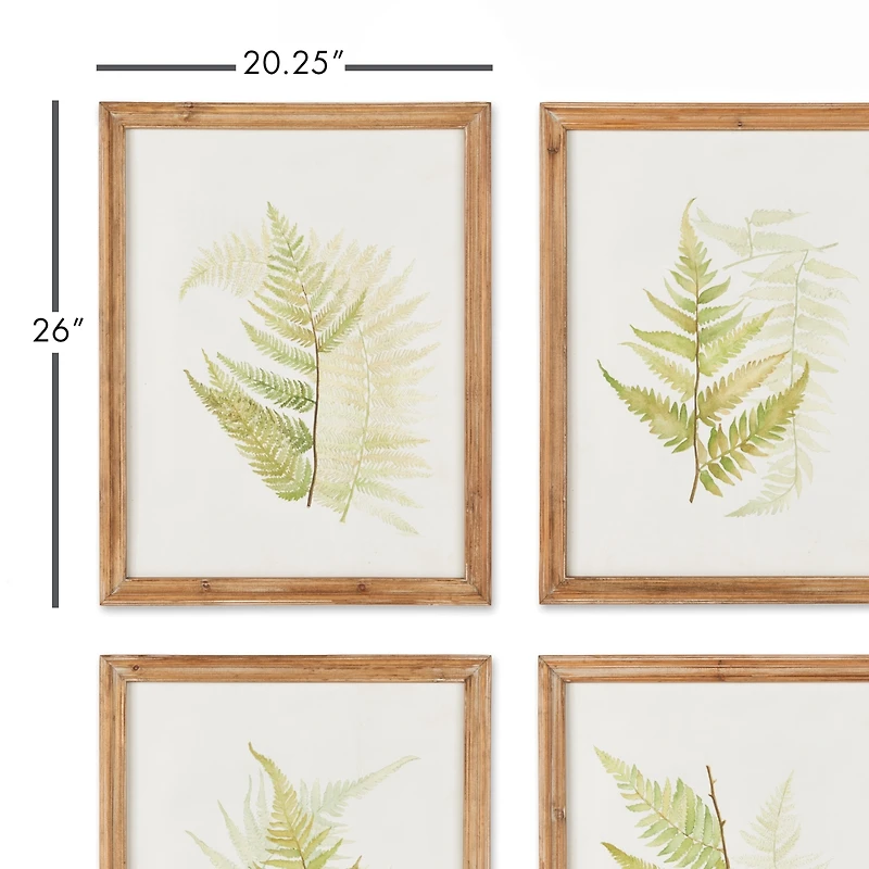 Framed Fern Study Set of 6