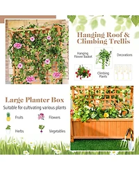 Raised Garden Bed with Trellis and Hanging Roof