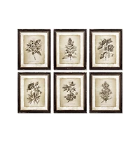 Framed Vintage like Floral Prints Set of 6