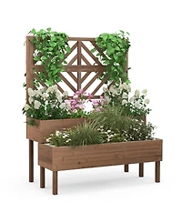 2-Tier Raised Garden Bed with Trellis