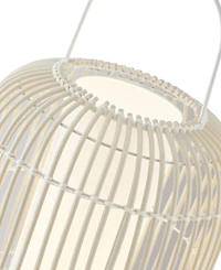 Lite Source Outdoor Cordless Clement Table Lamp