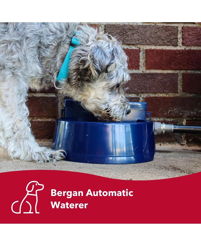 Coastal Pet Bergan Auto-Wata - Backyard & Patio Automatic Water Bowl for Cat, Dog and Other Pets - Navy - 1.5 qts / 48 oz.