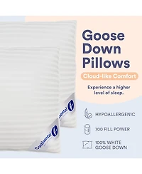 Continental Bedding Firm Comfort with 700 Fill Power - King Size Pack of 1