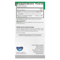 Nature's Answer Marine Based Magnesium - 90 Vegetarian Capsules