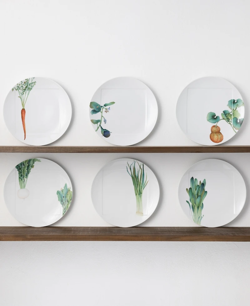 Noritake Kyoka Shunsai Assorted Dinner Plates 10.5" Set/6