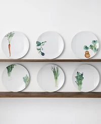 Noritake Kyoka Shunsai Assorted Dinner Plates 10.5" Set/6
