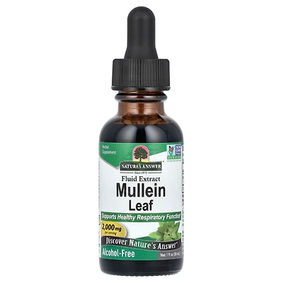 Nature's Answer Mullein Leaf Fluid Extract Alcohol-Free 2 000 mg - 1 fl oz (30 ml)