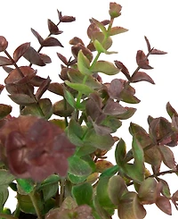 Northlight 10" Two-Toned Spring Eucalyptus Leaves Artificial Plant in Ceramic Pot