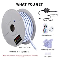DELight 100FT/30m Rgb Led Strip Neon Rope Lights with App & Remote Control, IP65 Ac 110V Waterproof Music Sync Flexible Dimmable Cuttable SMD3535 Led