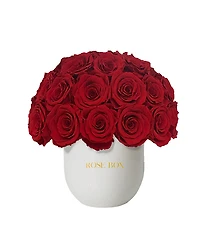 Rose Box Nyc Half Ball of Long Lasting Preserved Real Roses in Classic Ceramic Vase, 35 Roses