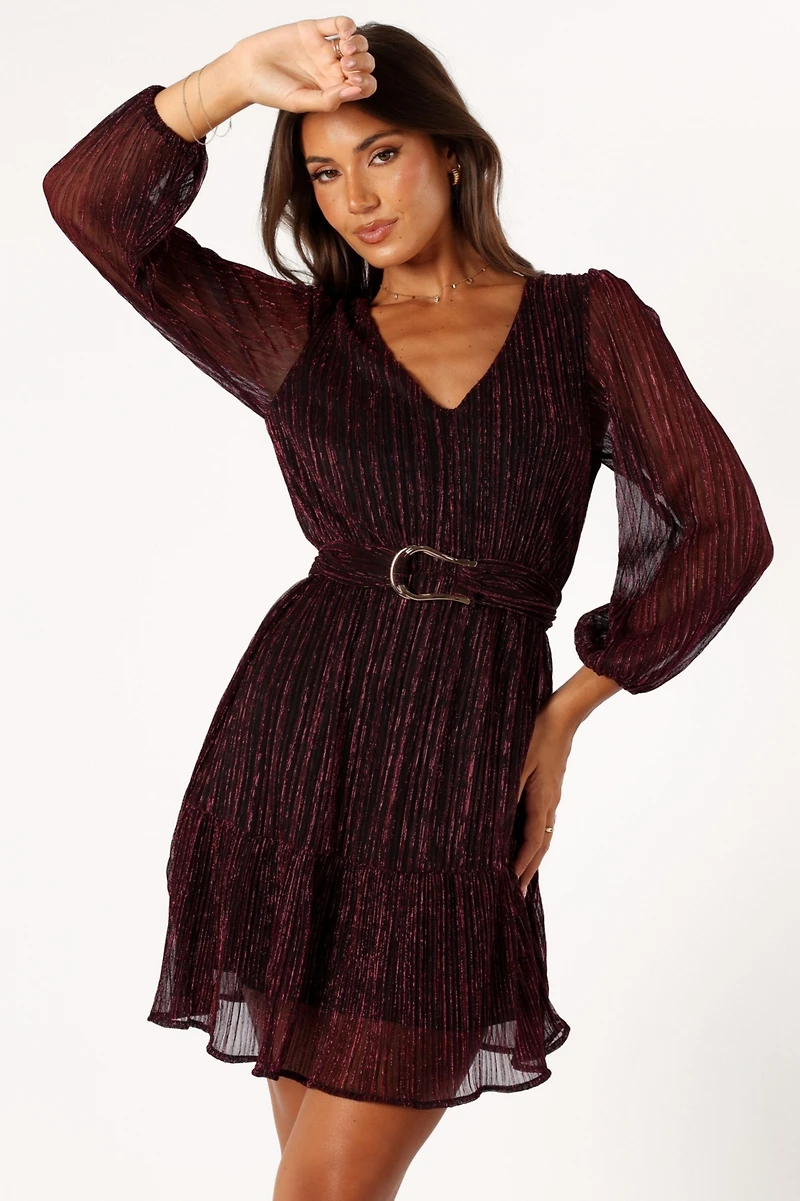 Glimmer Long Sleeve Mini Dress