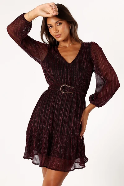 Glimmer Long Sleeve Mini Dress