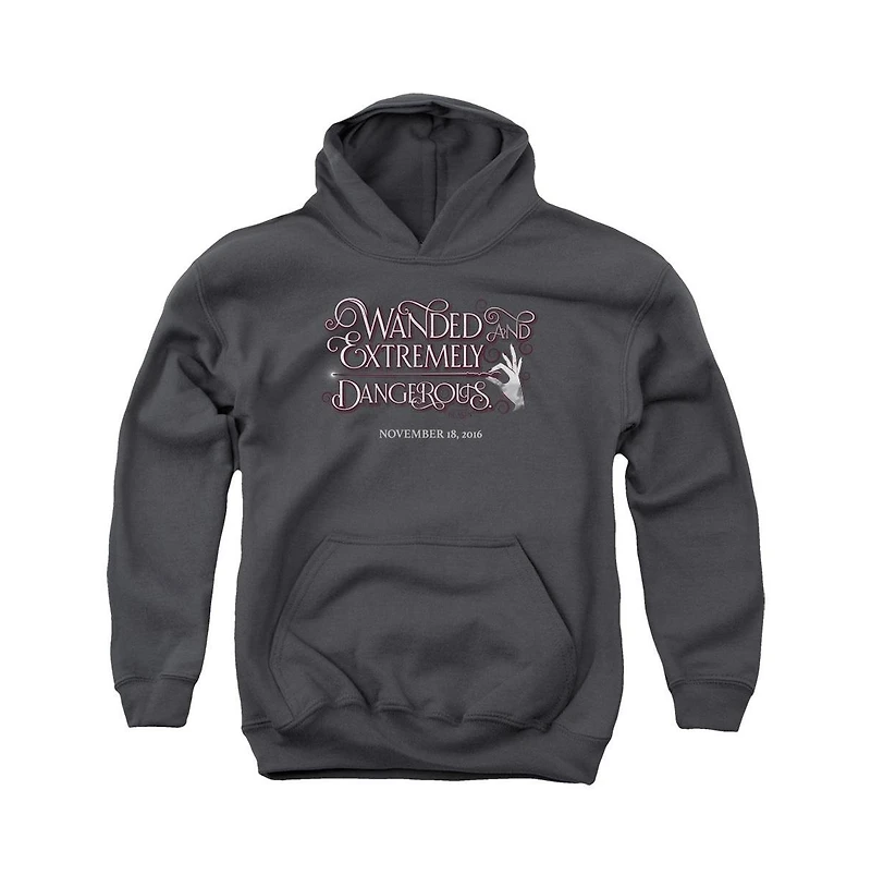 Fantastic Beasts Youth Wanded Pull Over Hoodie / Hooded Sweatshirt