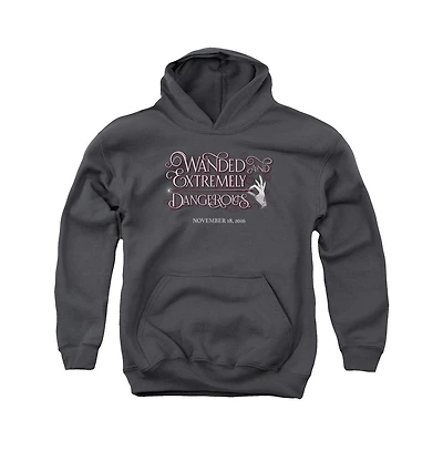 Fantastic Beasts Youth Wanded Pull Over Hoodie / Hooded Sweatshirt