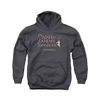 Fantastic Beasts Youth Wanded Pull Over Hoodie / Hooded Sweatshirt