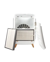 Homedics True Hepa Replacement Filter for Homedics, Ap-C500