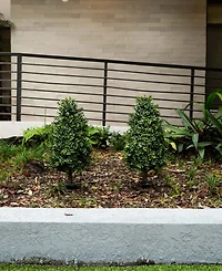 Nearly Natural 2.5ft. Uv Resistant Artificial Boxwood Plant with Integrated Ground Stake Indoor/Outdoor - Set of 2