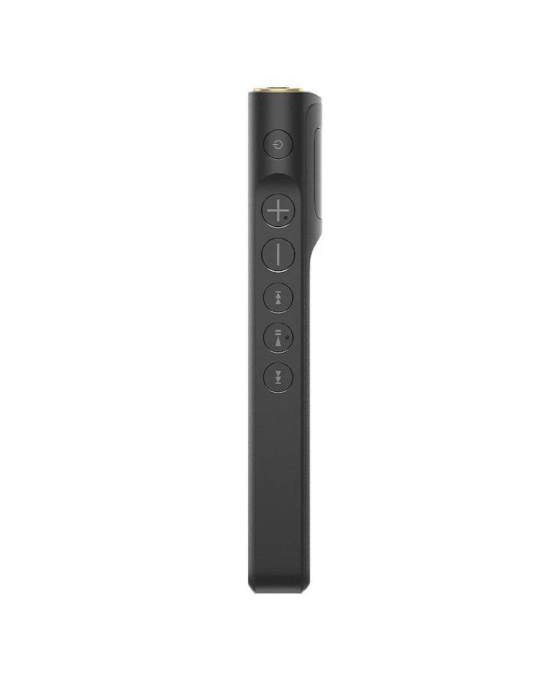 Sony Nw-WM1AM2 128GB Walkman Digital Music Player